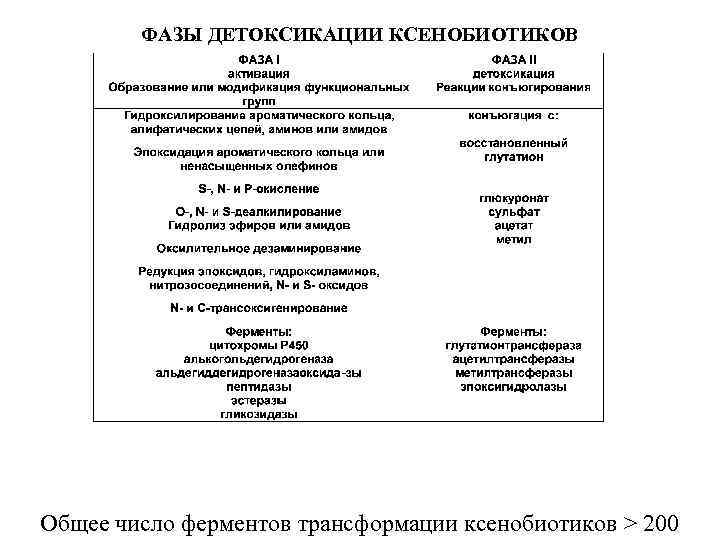 Ферменты детоксикации. Функции первой фазы детоксикации ксенобиотиков. Функции второй фазы детоксикации ксенобиотиков. Первая фаза детоксикации ксенобиотиков. 2 Фаза детоксикации.