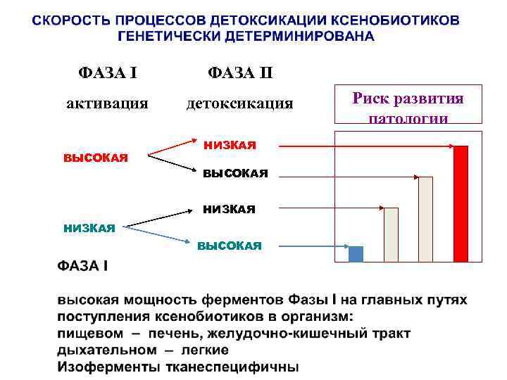 ФАЗА II активация детоксикация ВЫСОКАЯ НИЗКАЯ ВЫСОКАЯ Риск развития патологии 