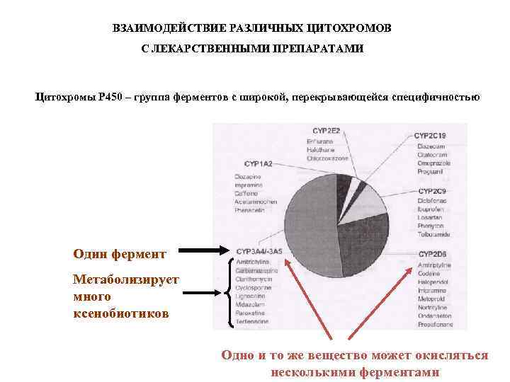 ВЗАИМОДЕЙСТВИЕ РАЗЛИЧНЫХ ЦИТОХРОМОВ С ЛЕКАРСТВЕННЫМИ ПРЕПАРАТАМИ Цитохромы Р 450 – группа ферментов с широкой,