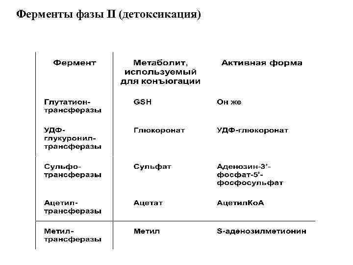 Ферменты фазы II (детоксикация) 