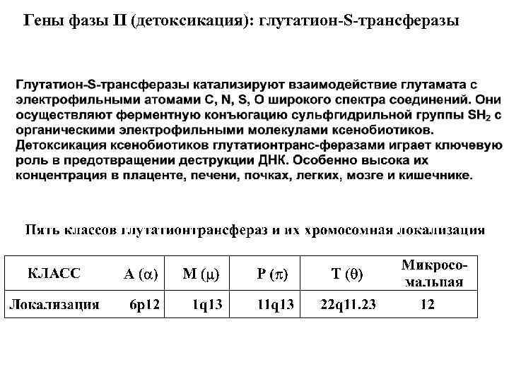 Гены фазы II (детоксикация): глутатион-S-трансферазы 