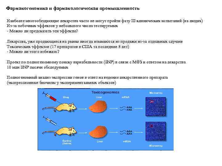 Фармакогеномика и фармакологическая промышленность Наиболее многообещающие лекарства часто не могут пройти фазу III клинических