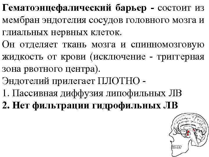 Гематоэнцефалический барьер - состоит из мембран эндотелия сосудов головного мозга и глиальных нервных клеток.