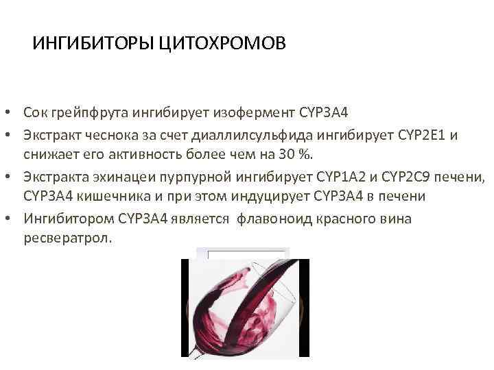 ИНГИБИТОРЫ ЦИТОХРОМОВ • Сок грейпфрута ингибирует изофермент CYP 3 A 4 • Экстракт чеснока