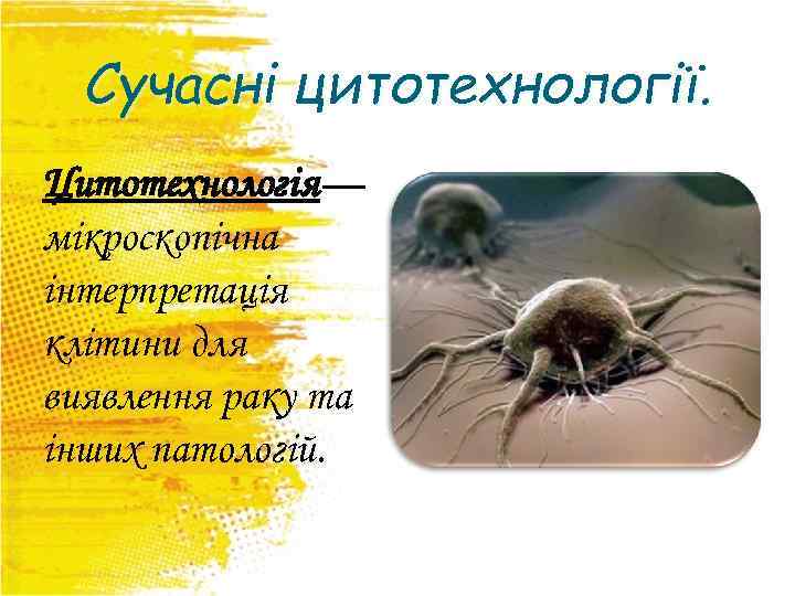 Сучасні цитотехнології. Цитотехнологія— мікроскопічна інтерпретація клітини для виявлення раку та інших патологій. 