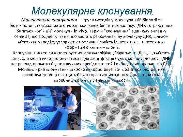 Молекулярне клонування. Молекулярне клонування — група методів у молекулярній біології та біотехнології, пов'язаних зі