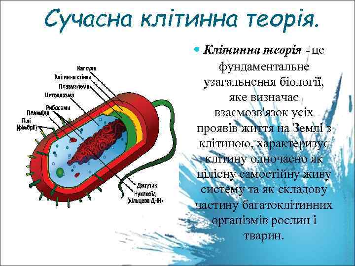 Сучасна клітинна теорія. Клітинна теорія - це фундаментальне узагальнення біології, яке визначає взаємозв'язок усіх