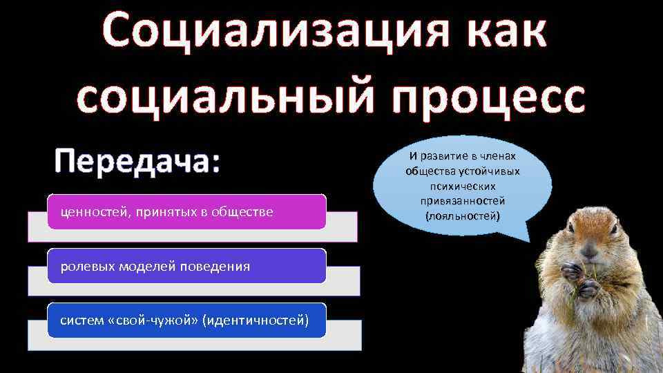 Передача общество. Передача ценностей. Ценности передаются. Как социализировать собаку.