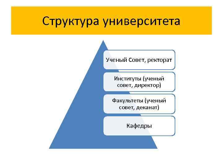 Структура университета Ученый Совет, ректорат Институты (ученый совет, директор) Факультеты (ученый совет, деканат) Кафедры