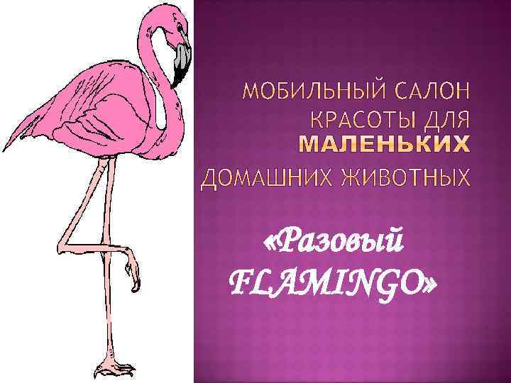  «Разовый FLAMINGO» 