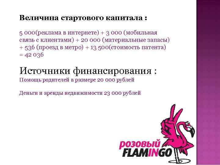 Величина стартового капитала : 5 000(реклама в интернете) + 3 000 (мобильная связь с