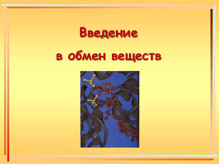 Введение в обмен веществ 