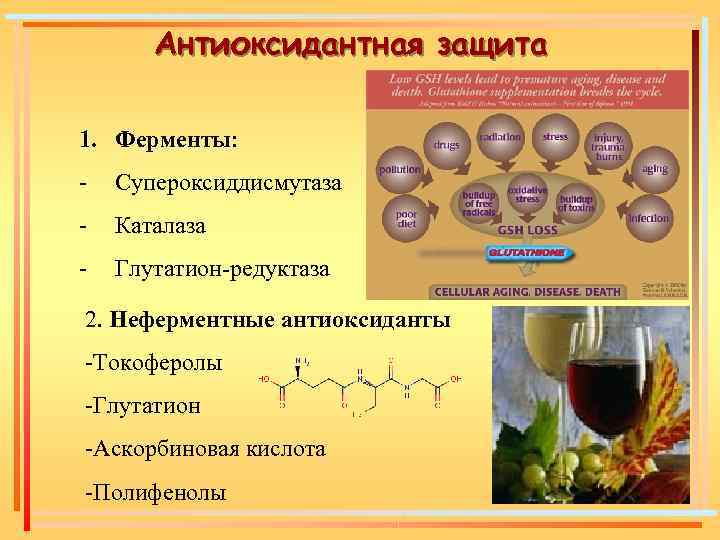 Ферменты витамины презентация по химии