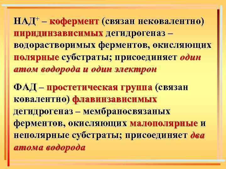 НАД+ – кофермент (связан нековалентно) пиридинзависимых дегидрогеназ – водорастворимых ферментов, окисляющих полярные субстраты; присоединяет