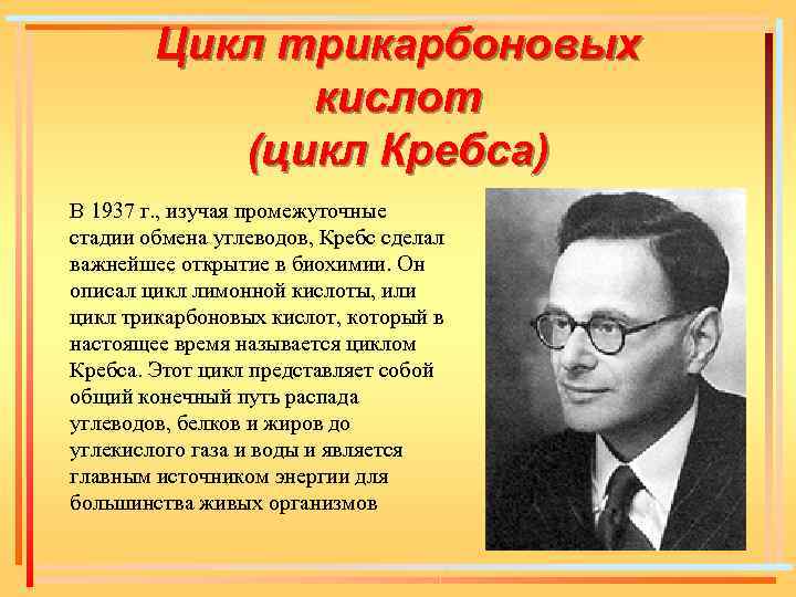 Цикл трикарбоновых кислот (цикл Кребса) В 1937 г. , изучая промежуточные стадии обмена углеводов,