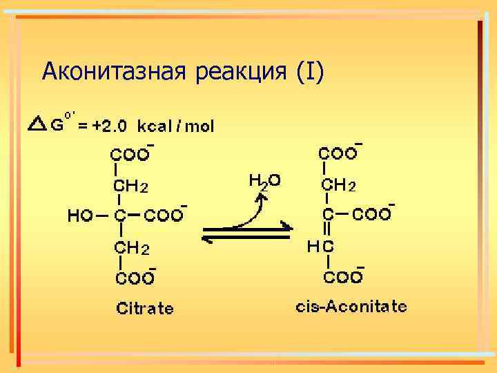 Аконитазная реакция (І) 