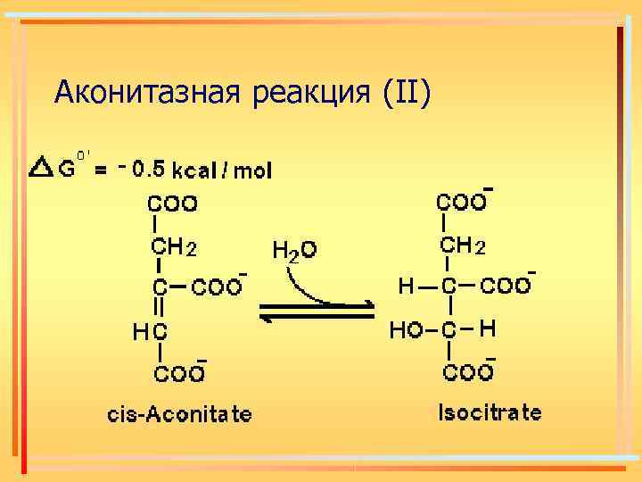 Аконитазная реакция (ІІ) 