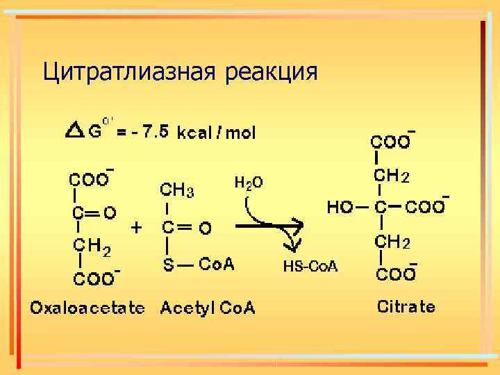 Цитратлиазная реакция 