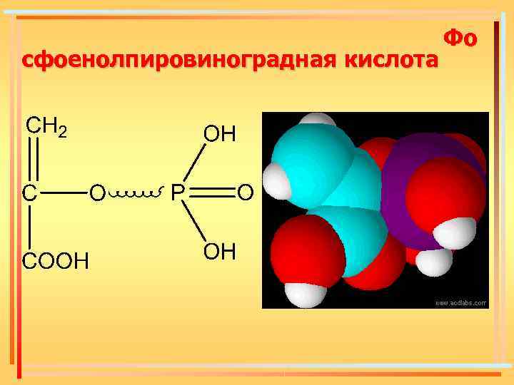 сфоенолпировиноградная кислота Фо 