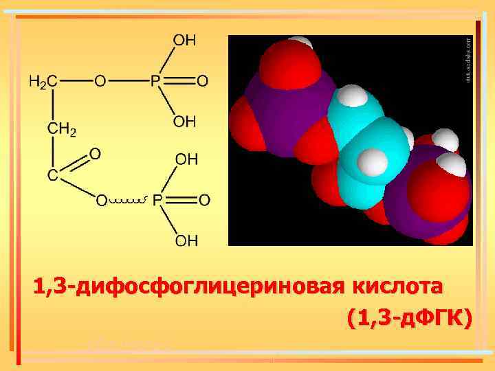 1, 3 -дифосфоглицериновая кислота (1, 3 -д. ФГК) к. Дж/моль); 