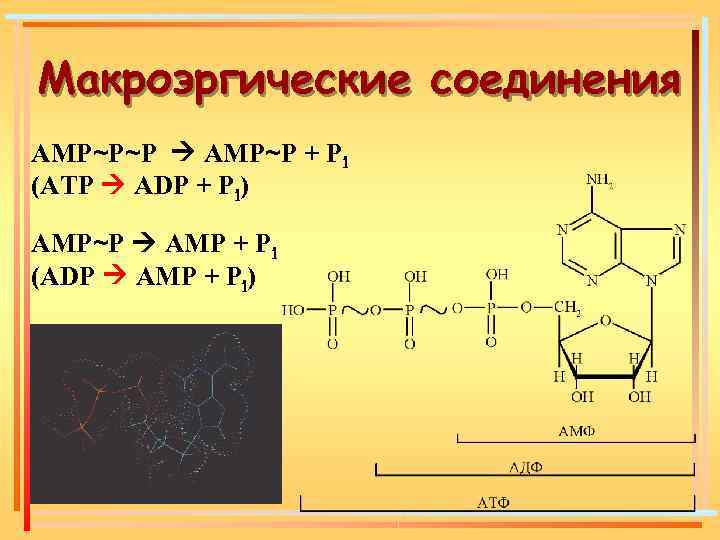 Макроэрги