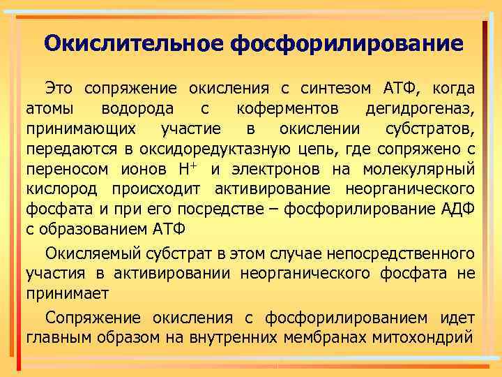 Окислительное фосфорилирование Это сопряжение окисления с синтезом АТФ, когда атомы водорода с коферментов дегидрогеназ,