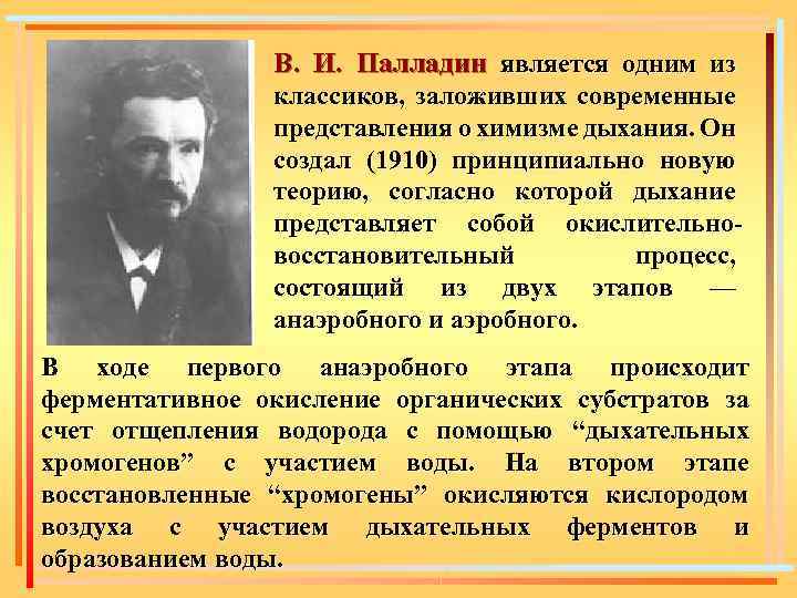 В. И. Палладин является одним из классиков, заложивших современные представления о химизме дыхания. Он