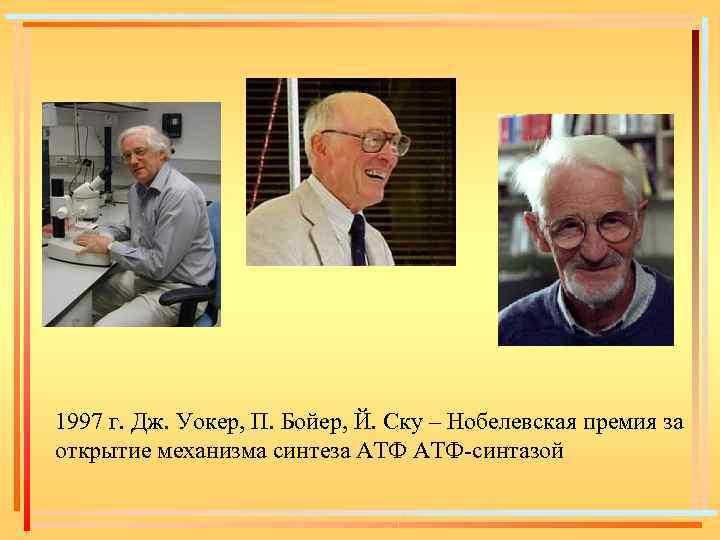 1997 г. Дж. Уокер, П. Бойер, Й. Ску – Нобелевская премия за открытие механизма