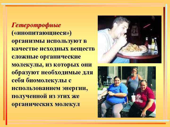 Гетеротрофные ( «инопитающиеся» ) организмы используют в качестве исходных веществ сложные органические молекулы, из