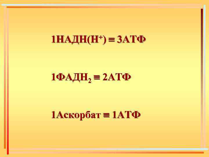 1 НАДН(Н+) 3 АТФ 1 ФАДН 2 2 АТФ 1 Аскорбат 1 АТФ 