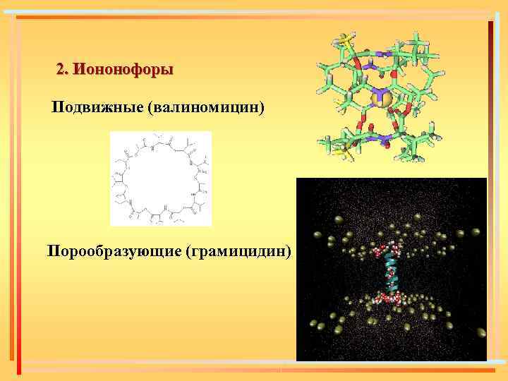 2. Иононофоры Подвижные (валиномицин) Порообразующие (грамицидин) 