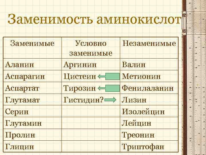 Заменимость аминокислот Заменимые Аланин Аспарагин Аспартат Глутамат Серин Глутамин Пролин Глицин Условно заменимые Аргинин