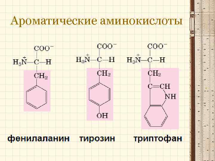 Фенилаланин имеет