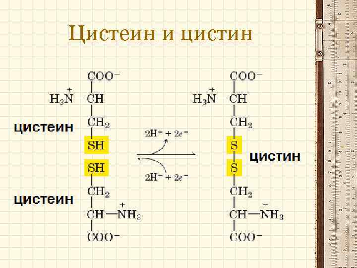 Цистеин структурная формула картинка