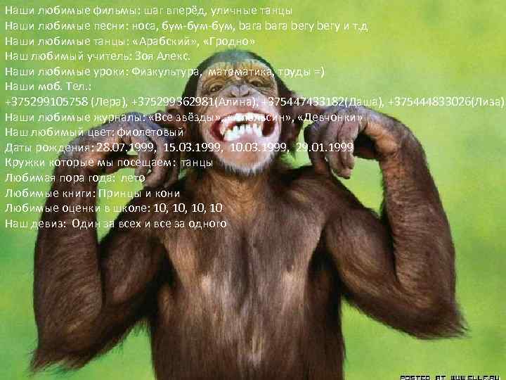 Наши любимые фильмы: шаг вперёд, уличные танцы Наши любимые песни: носа, бум-бум, bara bery