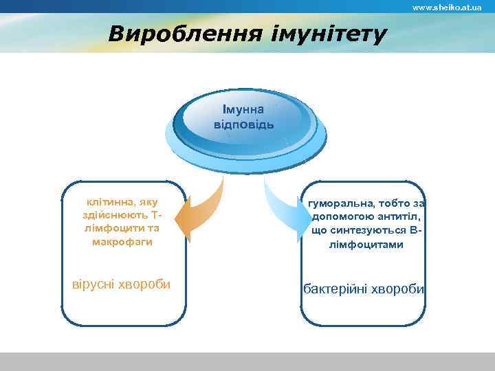 www. sheiko. at. ua Вироблення імунітету Імунна відповідь клітинна, яку здійснюють Тлімфоцити та макрофаги