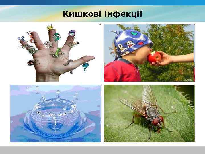 Кишкові інфекції 