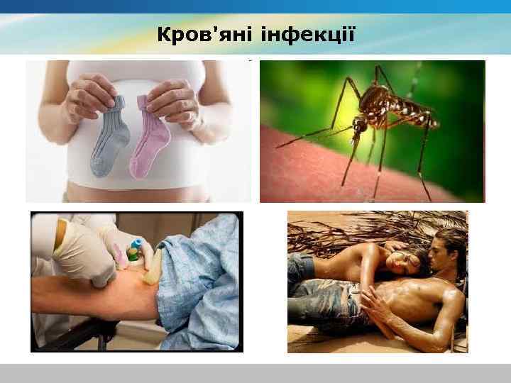 Кров'яні інфекції 