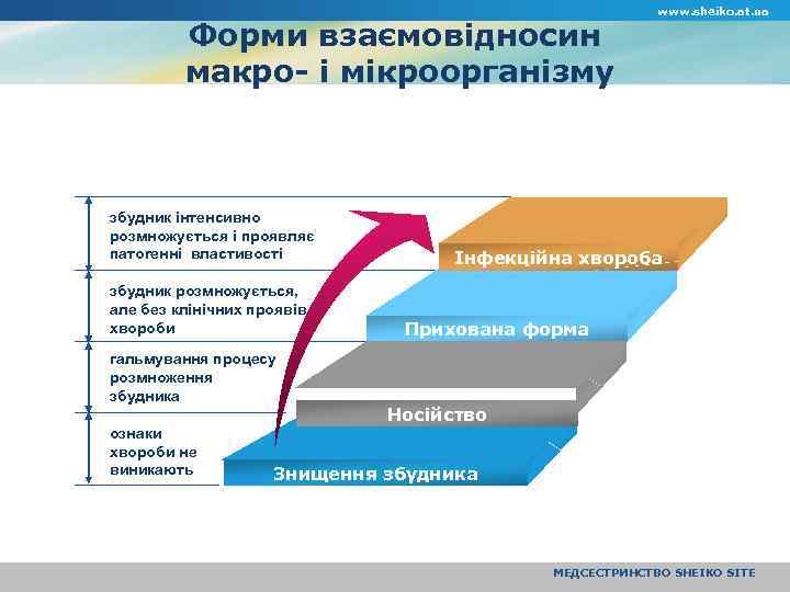 Форми взаємовідносин макро- і мікроорганізму збудник інтенсивно розмножується і проявляє патогенні властивості збудник розмножується,