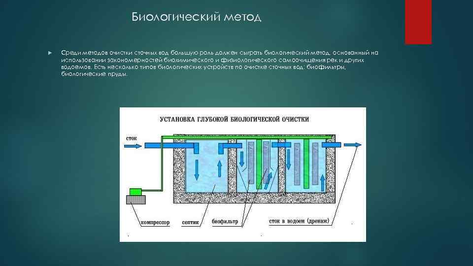 Биологический метод Среди методов очистки сточных вод большую роль должен сыграть биологический метод, основанный