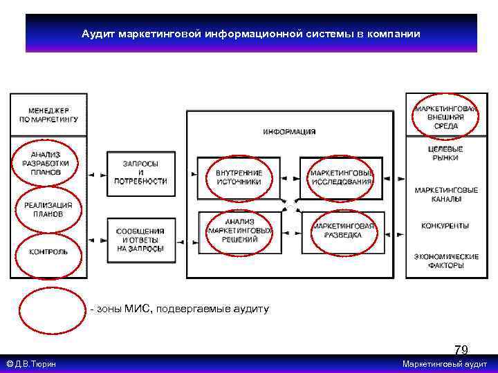 Аудит маркетинговой информационной системы в компании - зоны МИС, подвергаемые аудиту 79 © Д.