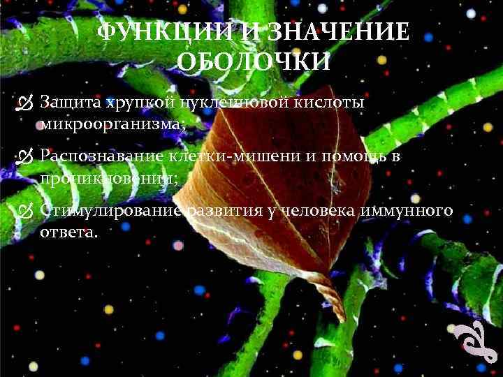 ФУНКЦИИ И ЗНАЧЕНИЕ ОБОЛОЧКИ Защита хрупкой нуклеиновой кислоты микроорганизма; Распознавание клетки-мишени и помощь в