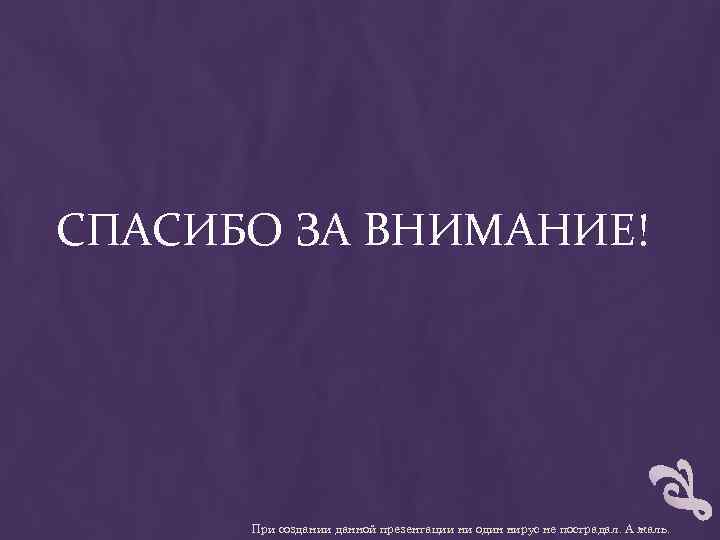 СПАСИБО ЗА ВНИМАНИЕ! При создании данной презентации ни один вирус не пострадал. А жаль.