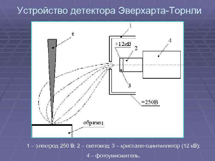 Устройство детектора Эверхарта-Торнли 1 – электрод 250 В; 2 – световод; 3 – кристалл-сцинтиллятор