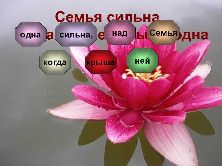 Семья сильна, над Семья одна сильна, когда над ней крыша одна когда крыша ней