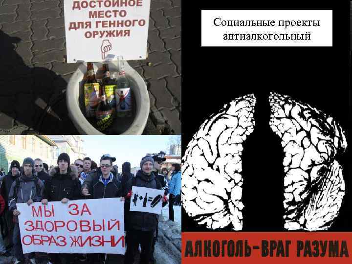Социальные проекты антиалкогольный 