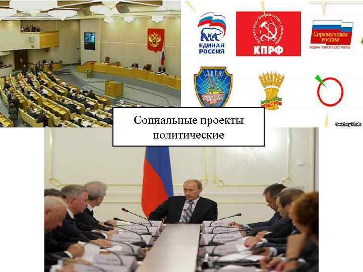 Социальные проекты политические 