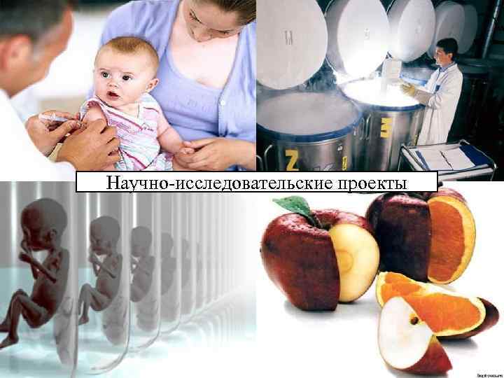 Научно-исследовательские проекты 