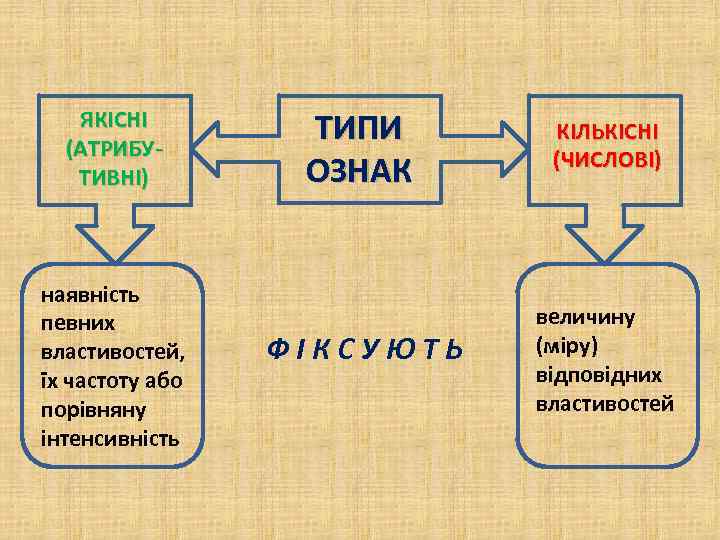 ЯКІСНІ (АТРИБУТИВНІ) наявність певних властивостей, їх частоту або порівняну інтенсивність ТИПИ ОЗНАК КІЛЬКІСНІ (ЧИСЛОВІ)