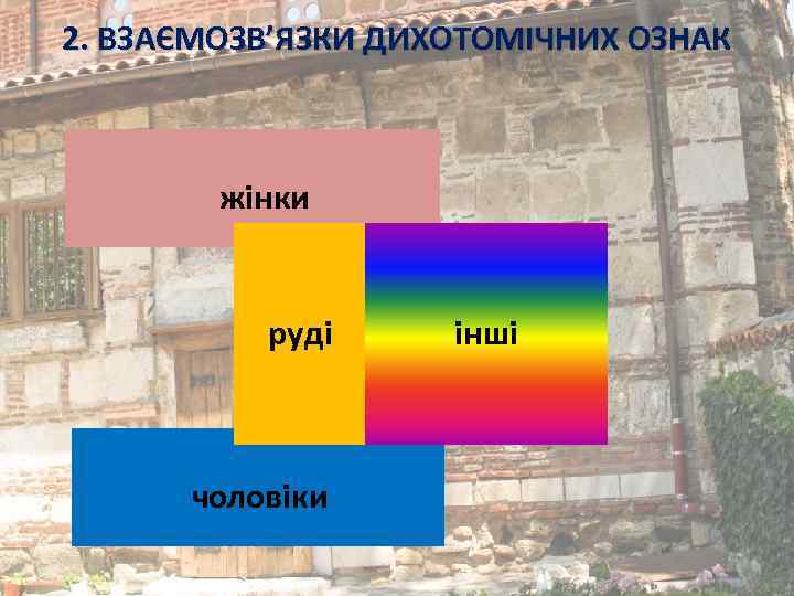 2. ВЗАЄМОЗВ’ЯЗКИ ДИХОТОМІЧНИХ ОЗНАК жінки руді чоловіки інші 